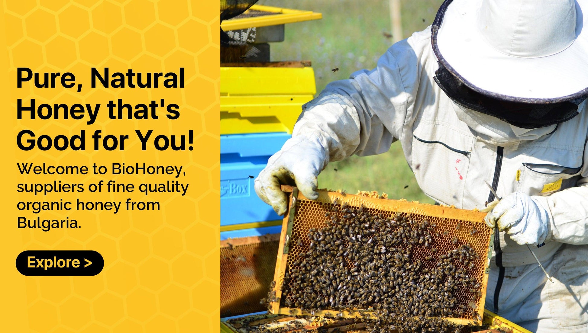 Award Winning Biohoney Organic Raw Honeycomb Linden 200g - BioHoney