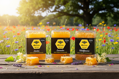 Award Winning Great Taste Organic Raw Honeycomb 3x300g DEAL