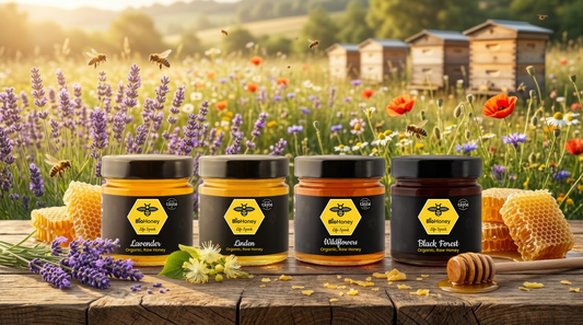 Award Winning Great Taste Organic Raw Honey 4 x300g DEAL